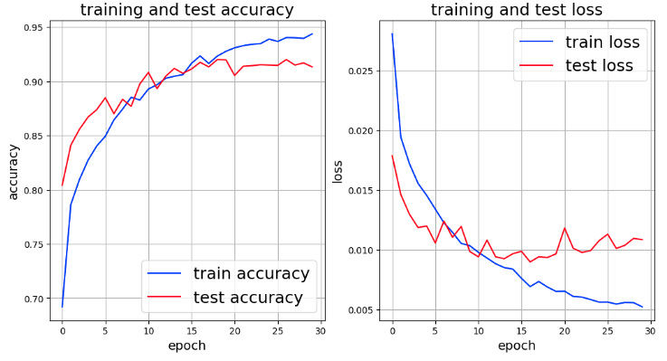 ViT_PreTrain_Erase